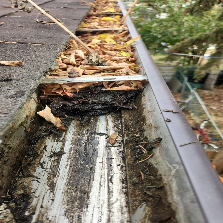Clogged gutters in St. Albert requiring professional gutter guard installation.